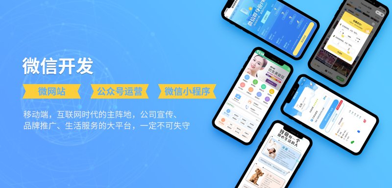 成都软件开发:在数字时代乘风破浪